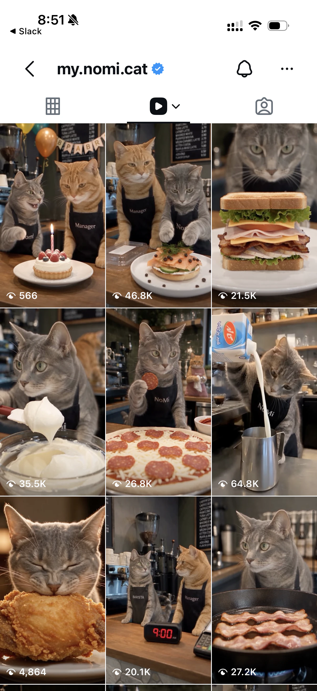 Selected Instagram posts from @my.nomi.cat.